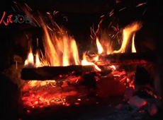 �t��t����~�ף�������ʳ���ρ�